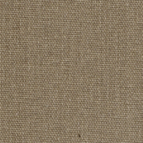 Caravaggio 507 Primed Polycotton 375gsm